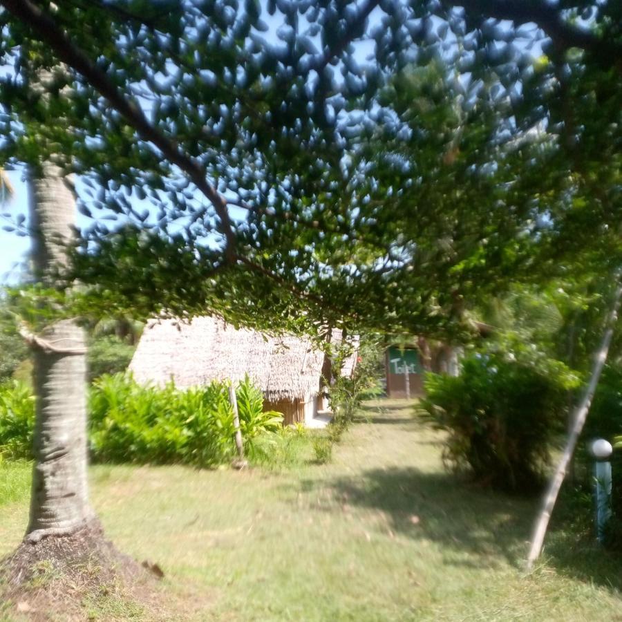 Koh Mook Oyoy Reggaebar Bungalow Zewnętrze zdjęcie